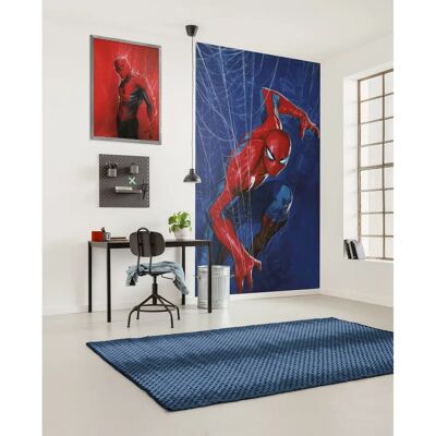 KOMAR Spider Web Wallpaper - Kids, Blue, Red - Wallpapers KOMAR Spider Web Wallpaper - Kids, Blue, Red - Wallpapers