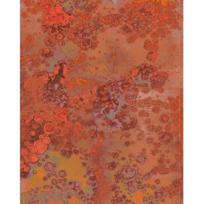 KOMAR Patina Bunte Vliestapete - Naturdesign - 200x250cm KOMAR Patina Bunte Vliestapete - Naturdesign - 200x250cm