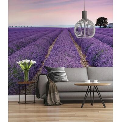 KOMAR Provence Lila Blumen Wandbild - Tapete KOMAR Provence Lila Blumen Wandbild - Tapete