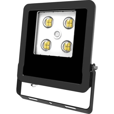 EVN Lichttechnik LED-Fluter LFE100902 - 10W Weiß, Verstellbar, IP65 EVN Lichttechnik LED-Fluter LFE100902 - 10W Weiß, Verstellbar, IP65