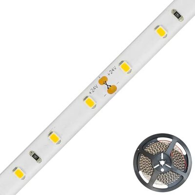 Ruban LED EVN 5m 24V Blanc IP54 Étanche - Publicité Ruban LED EVN 5m 24V Blanc IP54 Étanche - Publicité