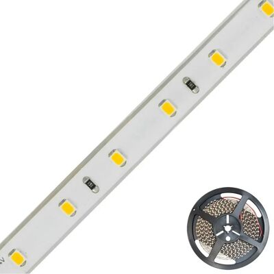 EVN LED Streifen 24V 5m 2700K - Wasserdichter LED-Strip EVN LED Streifen 24V 5m 2700K - Wasserdichter LED-Strip