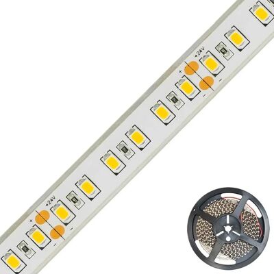 EVN LED-Strip 5m Warmweiß 2700K - LED-Strip EVN LED-Strip 5m Warmweiß 2700K - LED-Strip