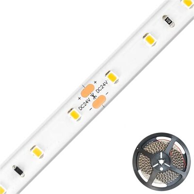 EVN - ICSB6724302802 - 5m - 3000K - LED strip EVN - ICSB6724302802 - 5m - 3000K - LED strip