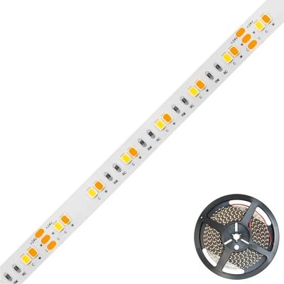 EVN Bande LED - 5m, Dimmable, Blanc, Intérieur - IP20 - Publicité EVN Bande LED - 5m, Dimmable, Blanc, Intérieur - IP20 - Publicité