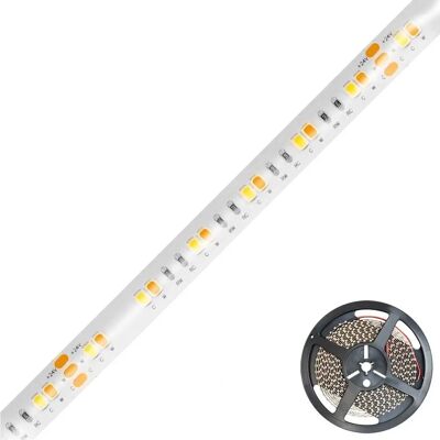 EVN - SB542460280125 - LED-Stripe - IP54 - 24V - Publicité EVN - SB542460280125 - LED-Stripe - IP54 - 24V - Publicité