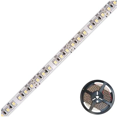 EVN - LSTRSB54241203501-25 - 5m - 600LED 24VDC - LED strip EVN - LSTRSB54241203501-25 - 5m - 600LED 24VDC - LED strip