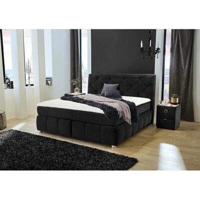 JOCKENHÖFER GRUPPE Bella Mikrofaser Boxspringbett - Bett JOCKENHÖFER GRUPPE Bella Mikrofaser Boxspringbett - Bett