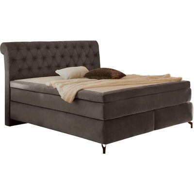 JOCKENHÖFER GRUPPE Scarlett Grau Boxspringbett JOCKENHÖFER GRUPPE Scarlett Grau Boxspringbett
