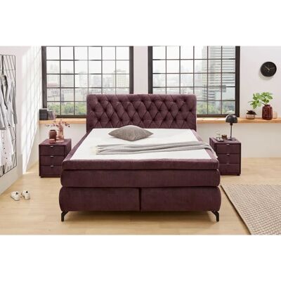 JOCKENHÖFER GRUPPE Scarlett Velours Boxspringbett - Boxspringbett JOCKENHÖFER GRUPPE Scarlett Velours Boxspringbett - Boxspringbett