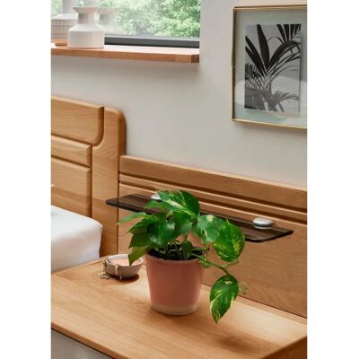 WIEMANN Kiruna Möbelaufsatz - Massiv Eiche & Rauchglas - 60cm x 27cm x 14cm WIEMANN Kiruna Möbelaufsatz - Massiv Eiche & Rauchglas - 60cm x 27cm x 14cm