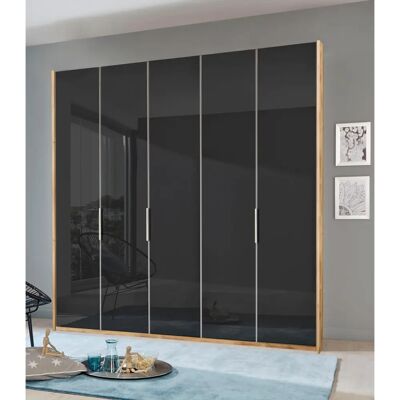 WIMEX Level Kleiderschrank - Glasfronten, 4 Türen - 250x216x58cm WIMEX Level Kleiderschrank - Glasfronten, 4 Türen - 250x216x58cm