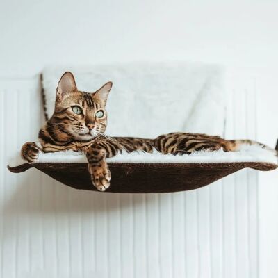 Canadian Cat Company - RadiatorBed - Creme-Braun Canadian Cat Company - RadiatorBed - Creme-Braun