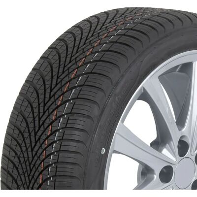Sava All Weather 195/65 R15 91H - All Weather Pkw Reifen Sava All Weather 195/65 R15 91H - All Weather Pkw Reifen
