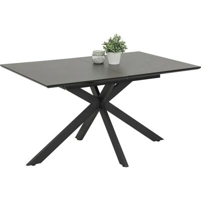 Hela Fenja Ausziehbarer Esstisch - Rechteckiges Modernes Design Hela Fenja Ausziehbarer Esstisch - Rechteckiges Modernes Design
