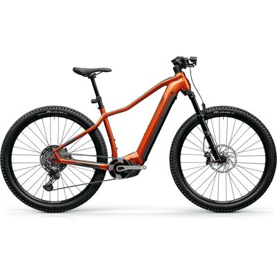 Centurion R2000i - 29 Zoll, 625 Wh, 2025 - E-Bike Centurion R2000i - 29 Zoll, 625 Wh, 2025 - E-Bike