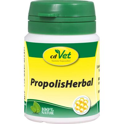 cdVet Propolis Herbal - 20 g Pulver für Katzen & Hunde cdVet Propolis Herbal - 20 g Pulver für Katzen & Hunde