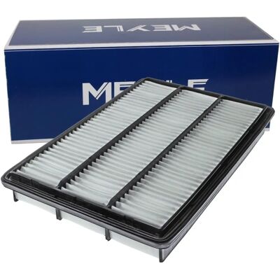 MEYLE Modello 32-12 321 0009 - Filtro aria MEYLE Modello 32-12 321 0009 - Filtro aria
