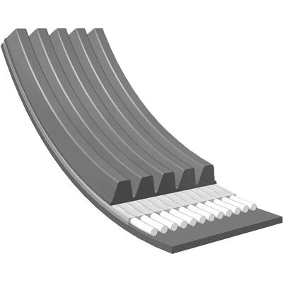 MEYLE Modelo 050 005 1150 Correa trapecial - Correa trapecial MEYLE Modelo 050 005 1150 Correa trapecial - Correa trapecial