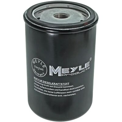 MEYLE Modèle 114 323 0003 Filtre à Carburant - Filtre à Carburant pour Audi MEYLE Modèle 114 323 0003 Filtre à Carburant - Filtre à Carburant pour Audi