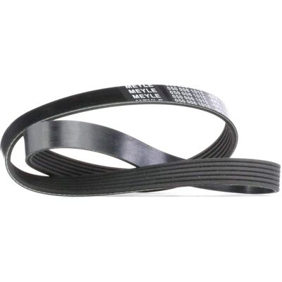 MEYLE Modèle 050 006 1015 Courroie trapézoïdale - Courroie d'accessoire MEYLE Modèle 050 006 1015 Courroie trapézoïdale - Courroie d'accessoire