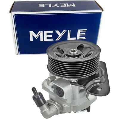 Pompa servosterzo idraulica Land Rover MEYLE 53-14 631 0004 - Qualità OE Pompa servosterzo idraulica Land Rover MEYLE 53-14 631 0004 - Qualità OE