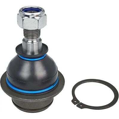 Braccio di controllo Ford - Anteriore sinistro - Qualità HD Braccio di controllo Ford - Anteriore sinistro - Qualità HD