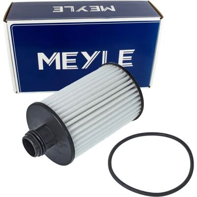 Chevrolet Opel Vauxhall Ölfilter - Passend für Chevrolet Captiva Cruze Orlando Chevrolet Opel Vauxhall Ölfilter - Passend für Chevrolet Captiva Cruze Orlando