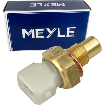 AKS DASIS 751127N NTC Kylvätsketemperatursensor - Opel/Renault AKS DASIS 751127N NTC Kylvätsketemperatursensor - Opel/Renault