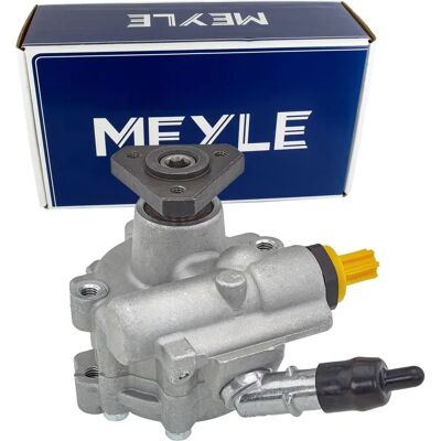 MEYLE Servopumpe Hydraulikpumpe für Dacia Logan Sandero 2014-16 MEYLE Servopumpe Hydraulikpumpe für Dacia Logan Sandero 2014-16