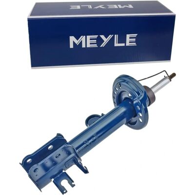 MEYLE 226 723 0003 - Hinterachse rechts Gasdruckstoßdämpfer für Fiat 500X, Jeep Renegade MEYLE 226 723 0003 - Hinterachse rechts Gasdruckstoßdämpfer für Fiat 500X, Jeep Renegade
