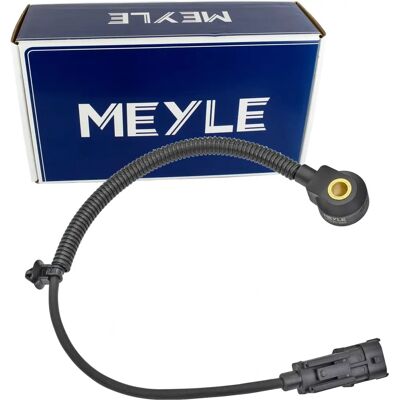 MEYLE 37-14 811 0005 Klopfsensor für Hyundai i10 i20 Kia Rio Stonic MEYLE 37-14 811 0005 Klopfsensor für Hyundai i10 i20 Kia Rio Stonic