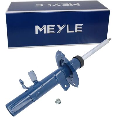 Ammortizzatore MEYLE KUGA 2 - Sistema di sospensione Ammortizzatore MEYLE KUGA 2 - Sistema di sospensione