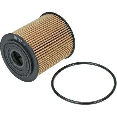 Meyle 7509208 - Ölfilter für Mini, Jeep, Fiat, Chrysler Meyle 7509208 - Ölfilter für Mini, Jeep, Fiat, Chrysler