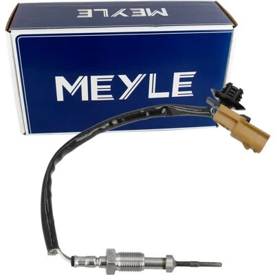 MEYLE Gassensor - Passer til Renault Scenic III, Megane III, Trafic III MEYLE Gassensor - Passer til Renault Scenic III, Megane III, Trafic III