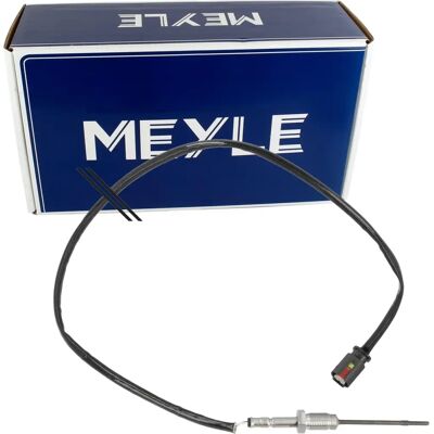Αισθητήρας Θερμοκρασίας Καυσαερίων MEYLE 314 800 0071 - Αισθητήρας Θερμοκρασίας Καυσαερίων Αισθητήρας Θερμοκρασίας Καυσαερίων MEYLE 314 800 0071 - Αισθητήρας Θερμοκρασίας Καυσαερίων
