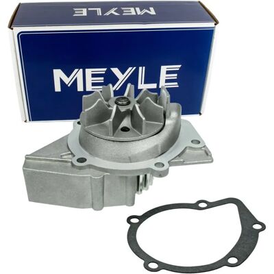 MEYLE Water Pump - Compatible with Citroën, Fiat, Lancia MEYLE Water Pump - Compatible with Citroën, Fiat, Lancia