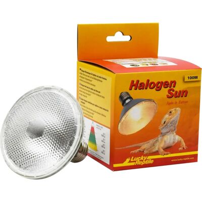 Lucky Reptile Halogen Sun 100W - Reptillampa - Längre livstid Lucky Reptile Halogen Sun 100W - Reptillampa - Längre livstid