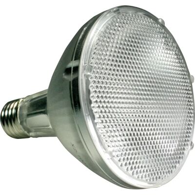 Lucky Reptile BSD-70 Reptilien-Heizlampe - Wüsten UVB UVA 70W Lucky Reptile BSD-70 Reptilien-Heizlampe - Wüsten UVB UVA 70W
