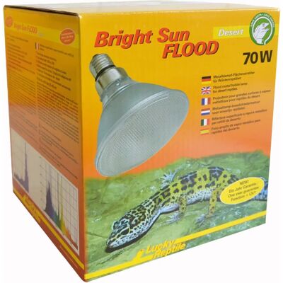 Lucky Reptile Bright Sun FLOOD Desert - Lampe pour terrarium avec UV et chaleur - Publicité Lucky Reptile Bright Sun FLOOD Desert - Lampe pour terrarium avec UV et chaleur - Publicité
