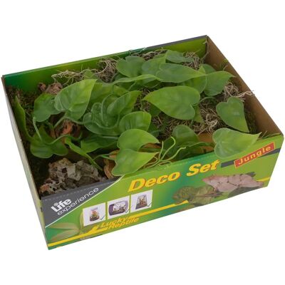 Lucky Reptile Life Experience Deco Set Jungle - Terrarium Decoratie Lucky Reptile Life Experience Deco Set Jungle - Terrarium Decoratie