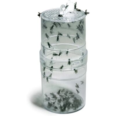Lucky Reptile - FF-1 - Habitat - Alimentateur - Décor Lucky Reptile - FF-1 - Habitat - Alimentateur - Décor