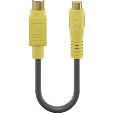 Adaptateur Vidéo Goobay Modèle 60845 - S-Video, RCA, 0,2m Adaptateur Vidéo Goobay Modèle 60845 - S-Video, RCA, 0,2m