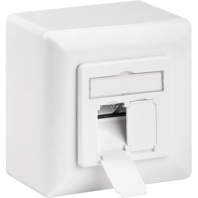 Goobay Modell 68572 Netzwerkausgang - Abgeschirmt, 2 RJ45 Goobay Modell 68572 Netzwerkausgang - Abgeschirmt, 2 RJ45