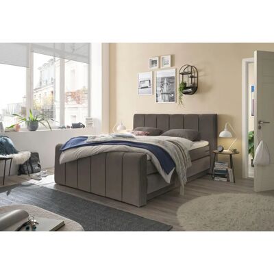 Musterring Fairfield Boxspringbett - Microvelours, 184x230cm Musterring Fairfield Boxspringbett - Microvelours, 184x230cm