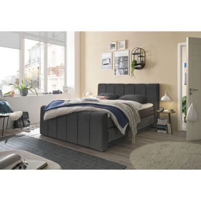 Musterring Fairfield Boxspringbett - Microvelours, 160x200cm Musterring Fairfield Boxspringbett - Microvelours, 160x200cm