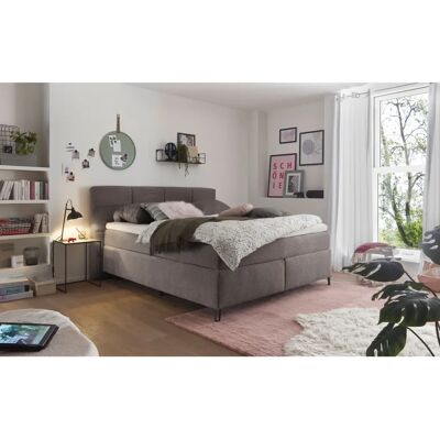 Musterring Fairfield Boxspringbett - Modernes Design, H3/H4, 7-Zonen-Federkern Musterring Fairfield Boxspringbett - Modernes Design, H3/H4, 7-Zonen-Federkern