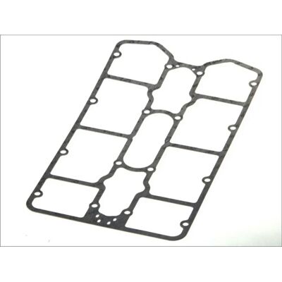 Guarnizione coperchio valvole ELRING 534.460 Guarnizione coperchio valvole ELRING 534.460