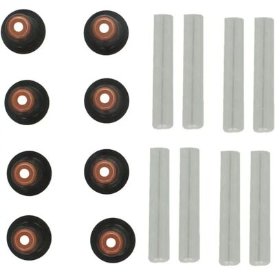 ELRING 308.970 Kit garnituri tija supapă - Kit garnituri tija supapă ELRING 308.970 Kit garnituri tija supapă - Kit garnituri tija supapă
