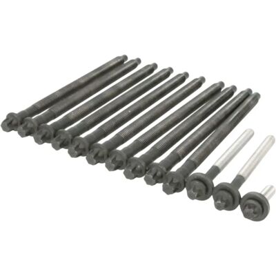Elring BMW Model 11127560274 - Cylinder Head Bolt Set Elring BMW Model 11127560274 - Cylinder Head Bolt Set